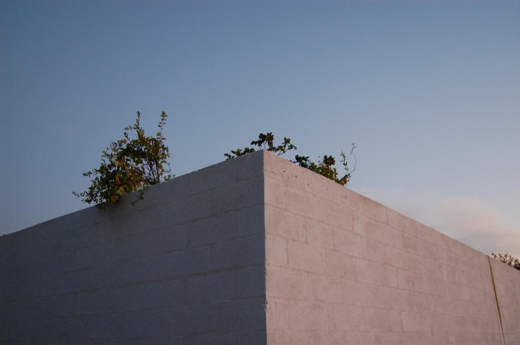 Calcebianca * Ostuni
